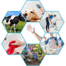 Disposable Plastic Gloves For Kitchen Food Handling (1 Pair)